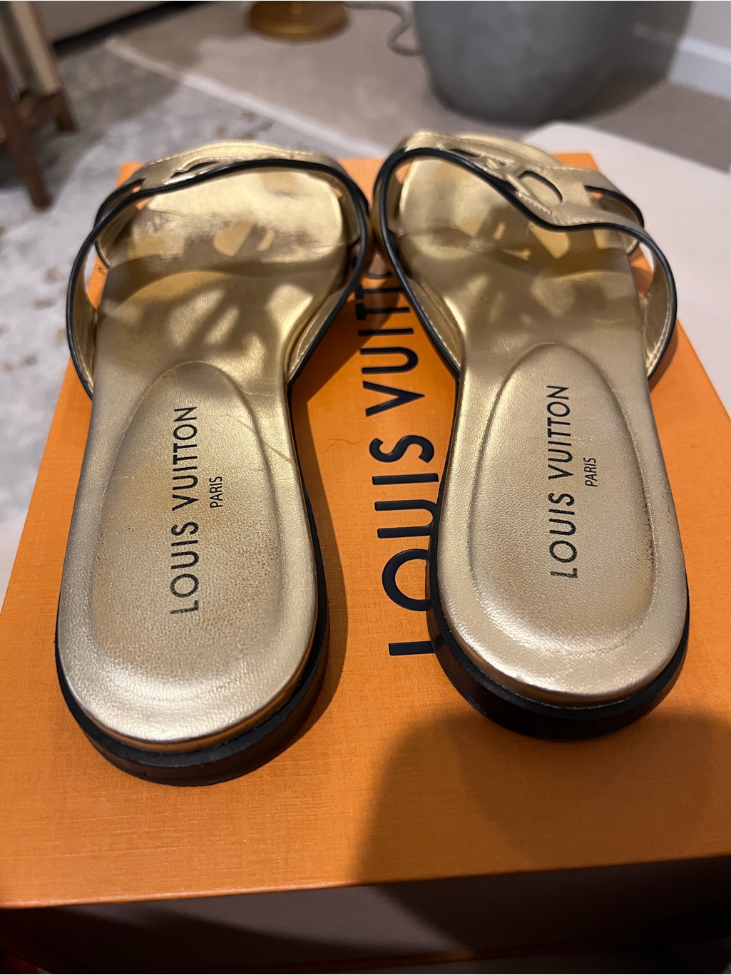 Louis Vuitton Isola Flat Mule Metallic Gold